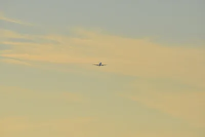 DSC_5686 (Large).JPG